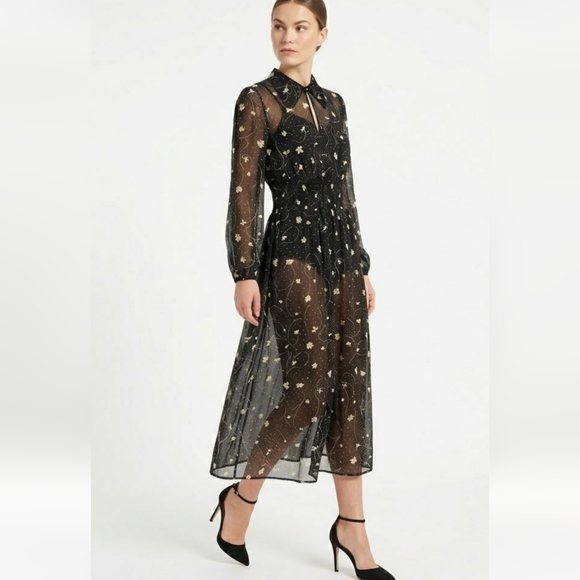 Baum Und Pferdgarten Dresses & Skirts - Baum und Pferdgarten Sheer Whimsigoth Floral Midi Dress Smocked Waist Size 10